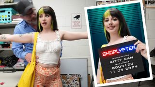 Kitty Cam – The Artist In Distress – Shoplyfter