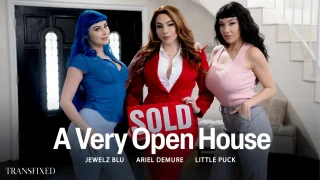 Jewelz Blu, Ariel Demure, Little Puck – A Very Open House – Transfixed
